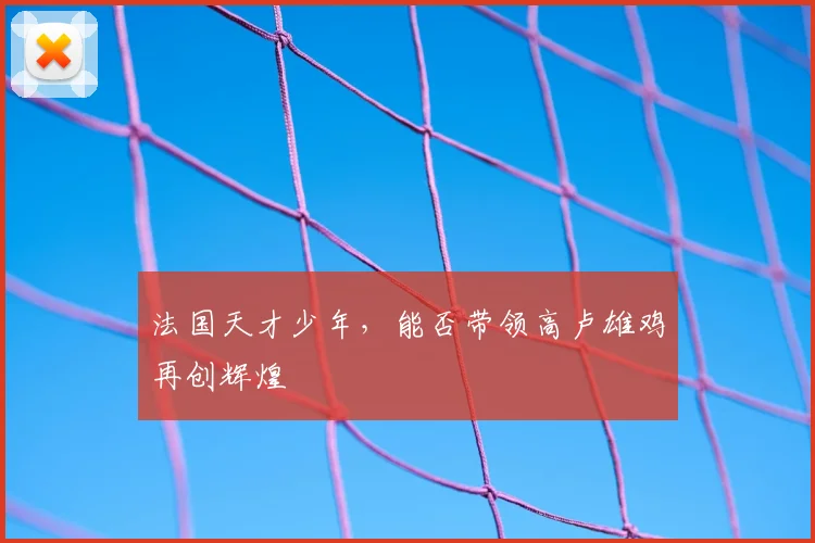 法国天才少年，能否带领高卢雄鸡再创辉煌