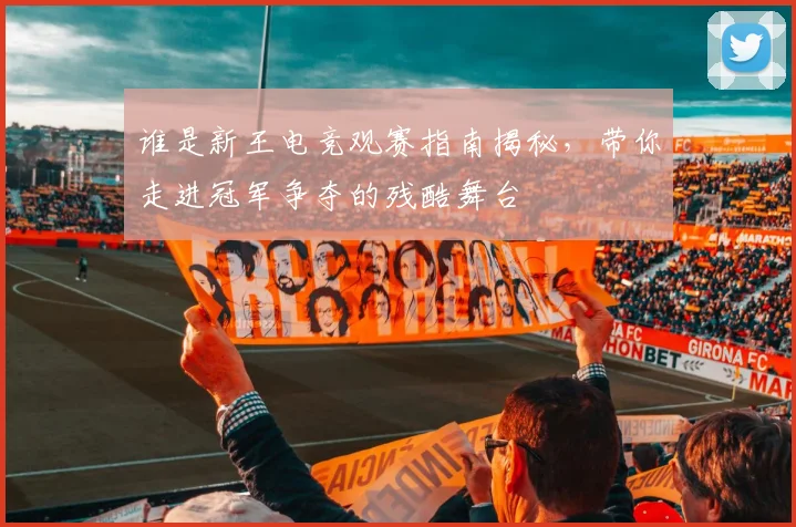 谁是新王电竞观赛指南揭秘，带你走进冠军争夺的残酷舞台