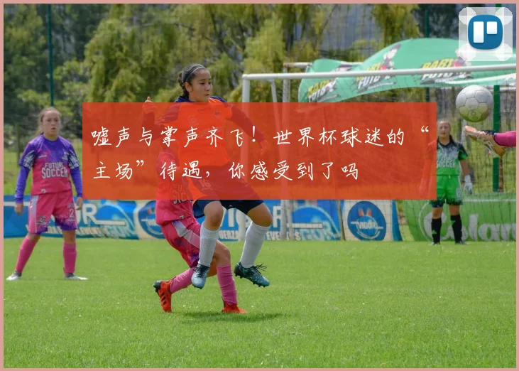 嘘声与掌声齐飞！世界杯球迷的“主场”待遇，你感受到了吗